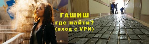 гашик Алексеевка