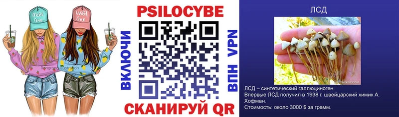 Галлюциногенные грибы ЛСД наркотики блэк спрут ссылки Чекалин